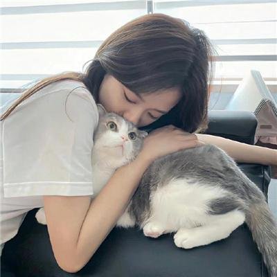 猫狗大战2：珍珠猫复仇